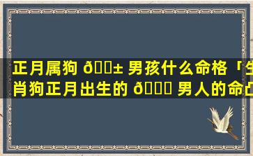 正月属狗 🐱 男孩什么命格「生肖狗正月出生的 🐕 男人的命凸」